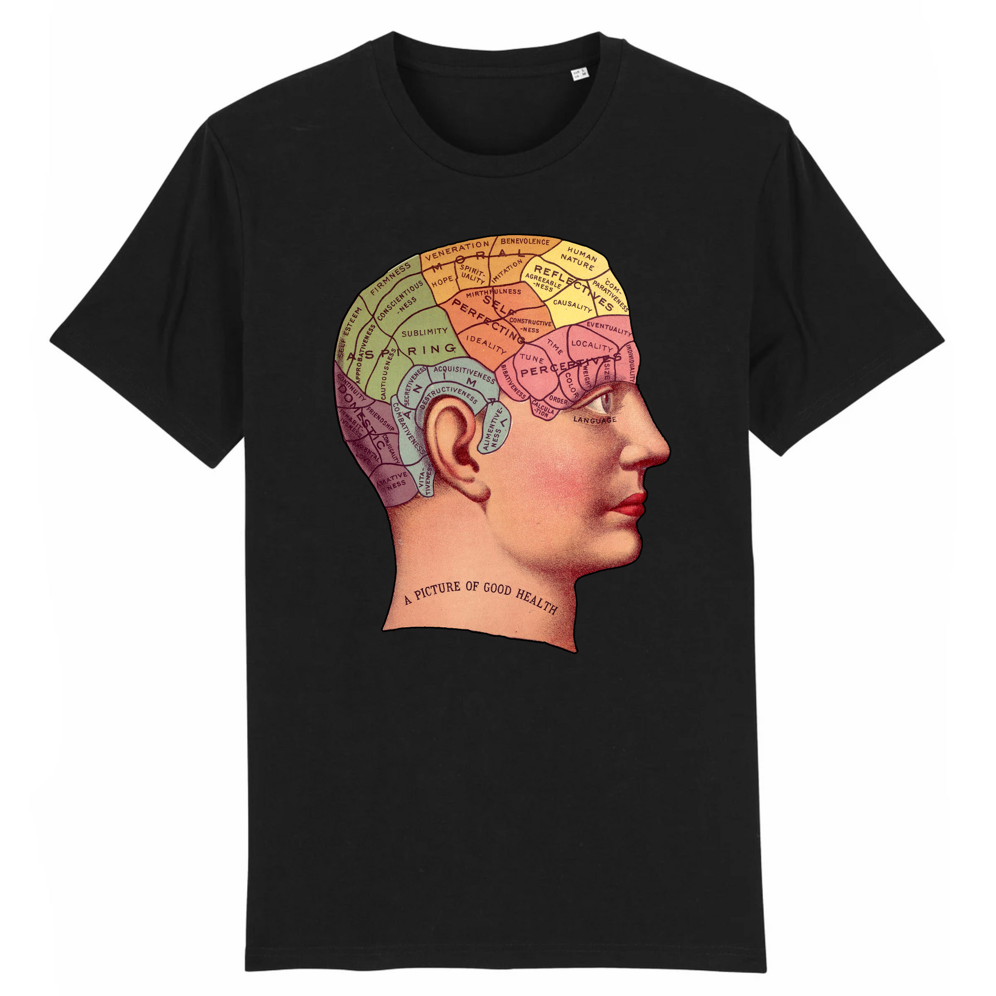 Phrenology - Organic Cotton T-Shirt
