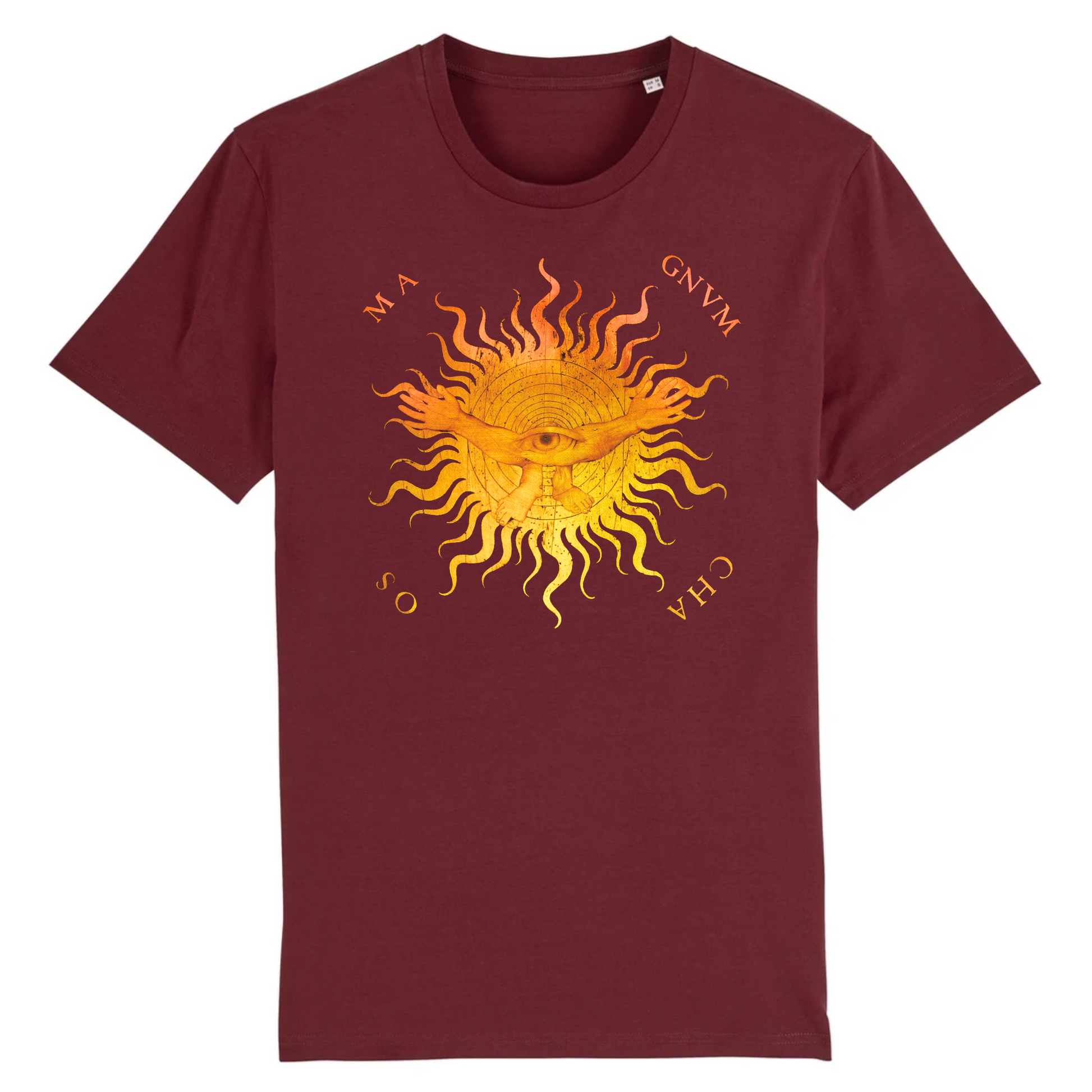 Magnum Chaos by Lotto Capoferri, 1524 - Organic Cotton T-Shirt